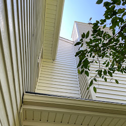 Soffit and trim cleaned by Revitalized Exteriors