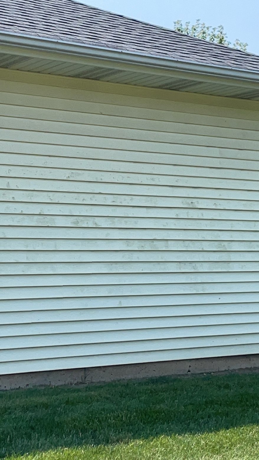 House Siding Soft Wash — before