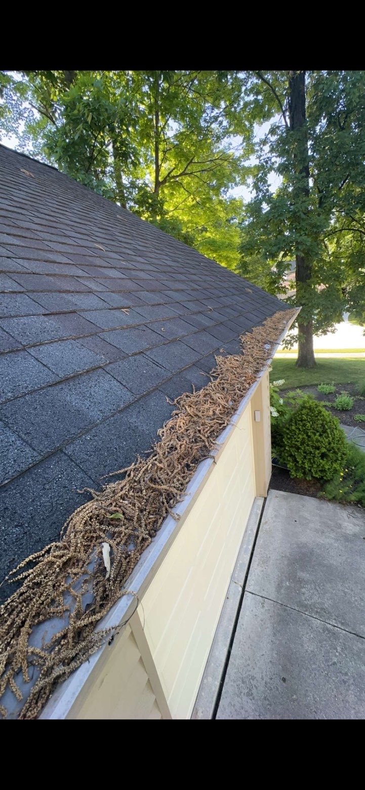Gutter & Downspout Cleaning — before